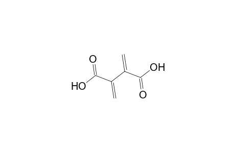 2,3-Dimethylenesuccinic acid