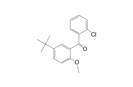 5-Tert-butyl-2'-chloro-2-methoxybenzophenone