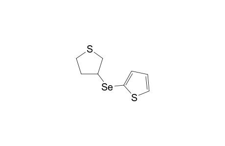3-(2'-Thienylseleno)-tetrahydrothiophene