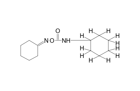 cyclohexanone, O-(cyclohexylcarbamoyl)oxime