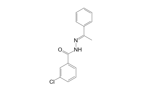 3-Chloro-N'-[(Z)-1-phenylethylidene]benzohydrazide