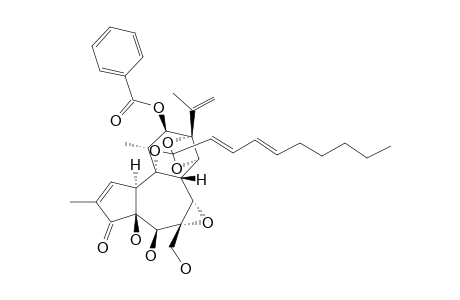 YUANHUACIN