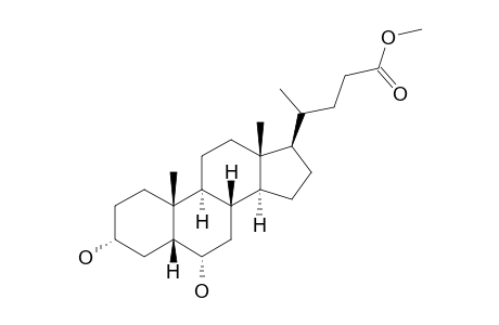 METHYL-HYODESOXYCHOLATE