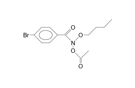 N-Acetoxy-P-bromo-benzohydroxamic acid, butyl ester