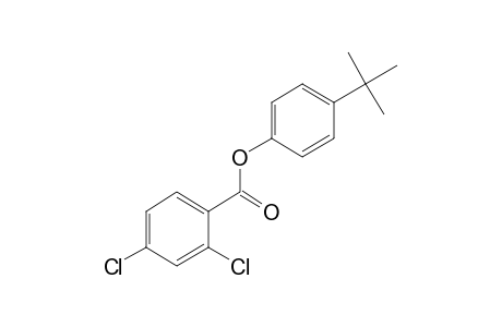 2,4-dichlorobenzoic acid, p-tert-butylphenyl ester