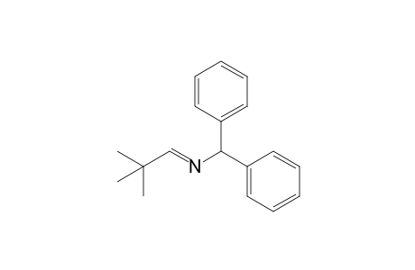 N-(2,2-Dimethylpropylidene)-1,1-diphenylmethylamine