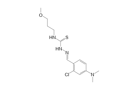 1-[2-chloro-4-(dimethylamino)benzylidene]-4-(3-methoxypropyl)-3-thiosemicarbazide