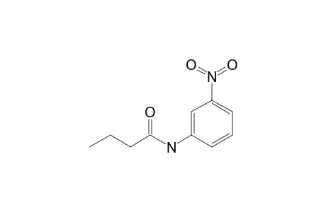 Butanamide, N-(3-nitrophenyl)-