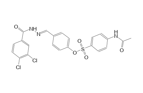 4-{(E)-[2-(3,4-dichlorobenzoyl)hydrazono]methyl}phenyl 4-(acetylamino)benzenesulfonate