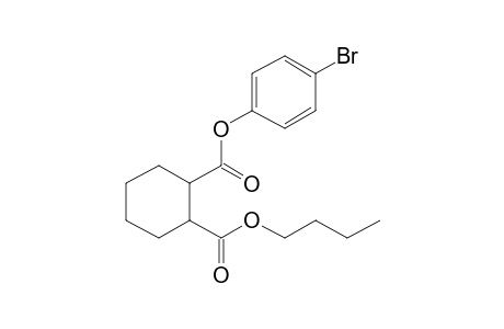 1,2-Cyclohexanedicarboxylic acid, 4-bromophenyl butyl ester