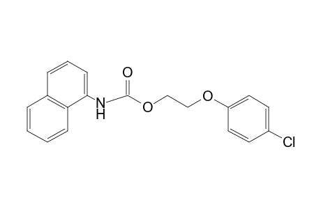 1-NAPHTHALENECARBAMIC ACID, 2-/P-CHLOROPHENOXY/ETHYL ESTER