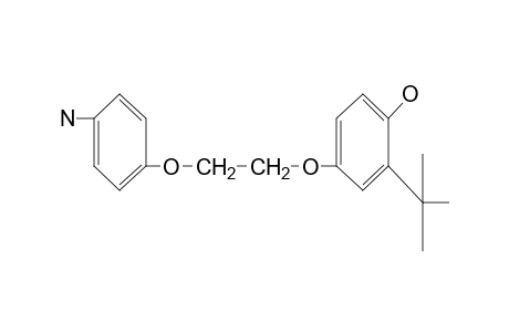 4-[2-(p-aminophenoxy)ethoxy]-2-tert-butylphenol