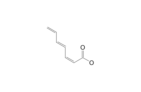 (2Z,4E)-Hepta-2,4,6-trienoic acid