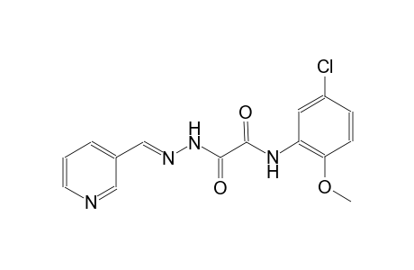 N-(5-chloro-2-methoxyphenyl)-2-oxo-2-[(2E)-2-(3-pyridinylmethylene)hydrazino]acetamide