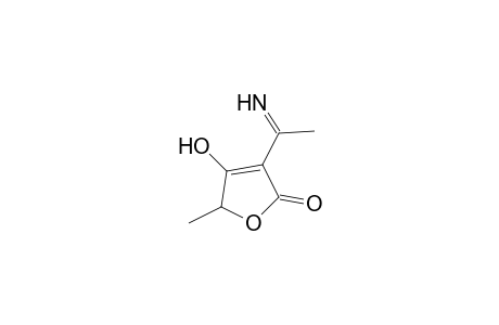 3-acetimidoyl-4-hydroxy-5-methyl-2(5H)-furanone