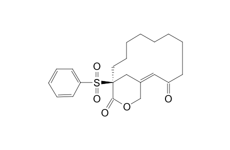 10-Oxo-1-phenylsulfonyl-1,12-(methanoxycarbonyl)cyclotridec-11-ene-1-carboxylic methyl ester