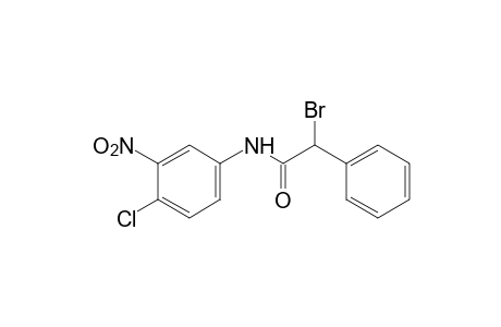 2-bromo-4'-chloro-3'-nitro-2-phenylacetanildie