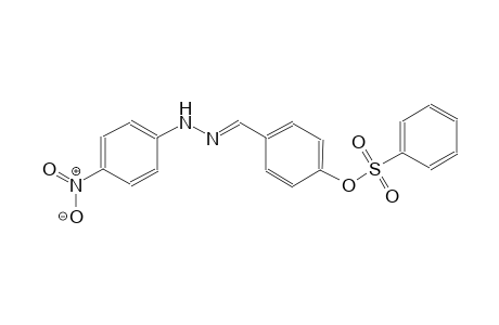 benzaldehyde, 4-[(phenylsulfonyl)oxy]-, (4-nitrophenyl)hydrazone