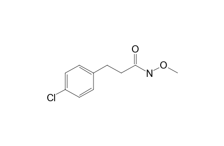 3-(4-Chlorophenyl)-N-methoxy-propanamide