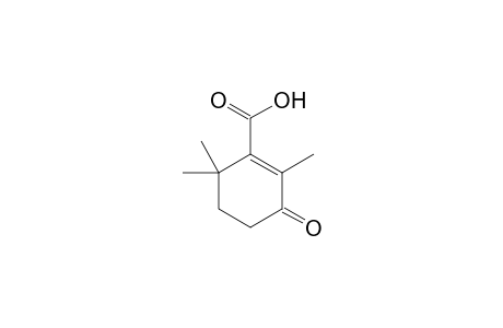 3-oxo-2,6,6-Trimethyl-1-cyclohexene-1-carboxylic acid