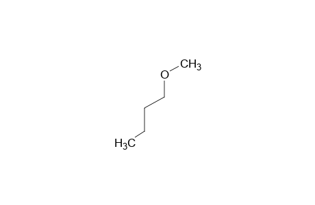 butyl methyl ester