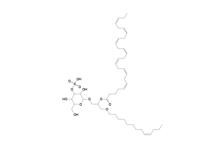 SMGDG O-13:1_26:7