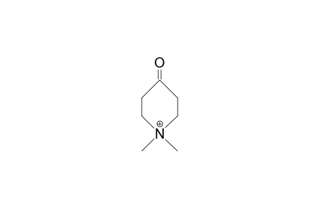 N,N-Dimethyl-4-piperidinonium cation