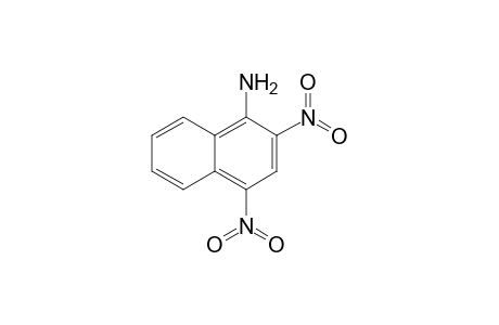 2,4-dinitro-1-naphthylamine