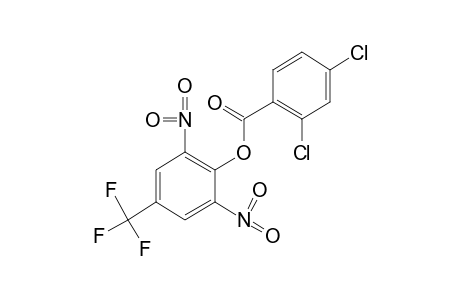 2,6-Dinitro-alpha,alpha,alpha-trifluoro-p-cresol, 2,4-dichlorobenzoate