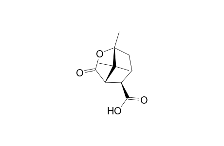 exo-7-oxo-5,8,8-Trimethyl-6-oxabicyclo[3.2.1]octane-2-carboxylic acid