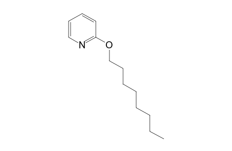 2-(octyloxy)pyridine