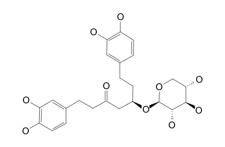 OREGONIN;(5S)-1,7-BIS-(3,4-DIHYDROPHENYL)-5-O-(BETA-D-XYLOPYRANOSYL)-HEPTAN-3-ONE