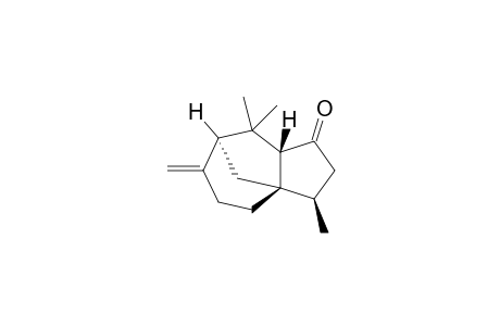 Biotone<beta->