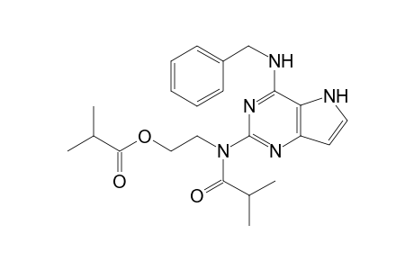 2-[N-(4'-<Benzylamino>-5-acetyl-5H-pyrrolo[3,2-d]pyrimidin-2'-yl)-2-isopropylamido]-ethyl 2-Methylpropanoate