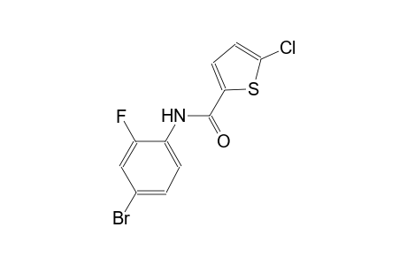 N-(4-bromo-2-fluorophenyl)-5-chloro-2-thiophenecarboxamide