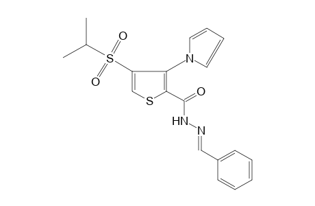 4-(isopropylsulfonyl)-3-(pyrrol-1-yl)-2-thiophenecarboxylic acid, benzylidenehydrazide