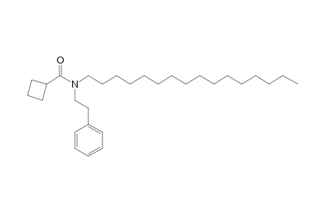 Cyclobutanecarboxamide, N-(2-phenylethyl)-N-hexadecyl-