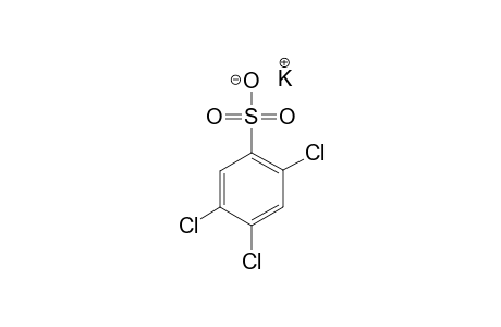 2,4,5-Trichlorobenzenesulfonic acid potassium salt