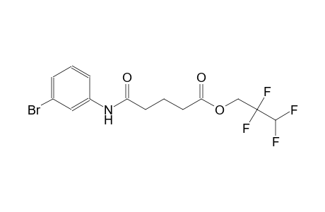 2,2,3,3-tetrafluoropropyl 5-(3-bromoanilino)-5-oxopentanoate