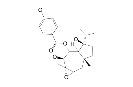 KUHISTANICAOL-H