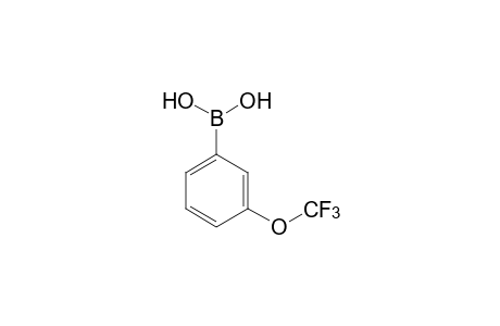 3-(Trifluoromethoxy)benzeneboronic acid