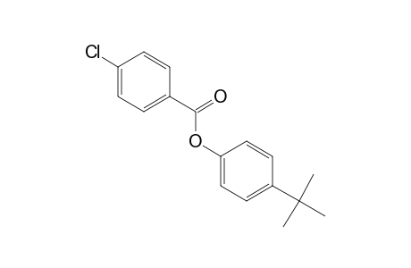 p-chlorobenzoic acid, p-tert-butylphenyl ester