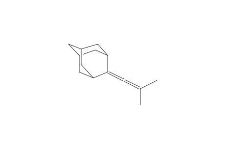 1-ADAMANTYLENE-2,2-DIMETHYLETHENE