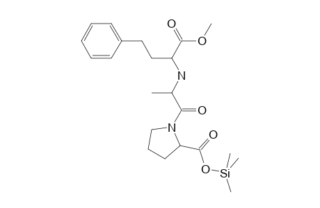 Enalapril-M/artifact METMS          @