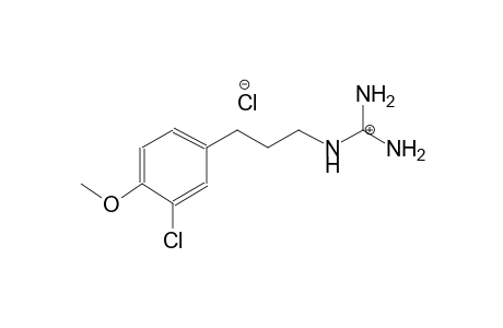 amino((3-(3-chloro-4-methoxyphenyl)propyl)amino)methaniminium chloride