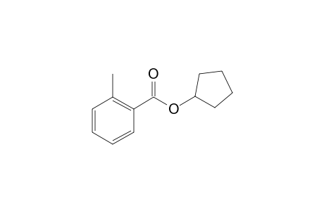 o-Toluic acid, cyclopentyl ester