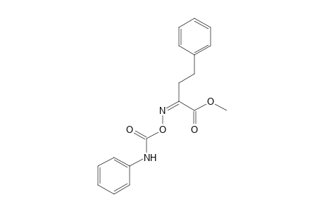 2-oxo-4-phenylbutyric acid, methyl ester, O-(phenylcarbamoyl)oxime