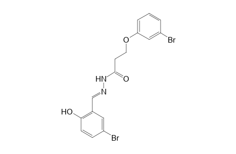 N'-(2-hydroxy-5-bromobenzylidene)-3-(3-bromophenoxy)propanhydrazide