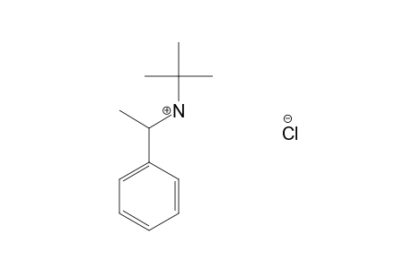 N-tert-BUTYL-alpha-METHYLBENZYLAMINE, HYDROCHLORIDE