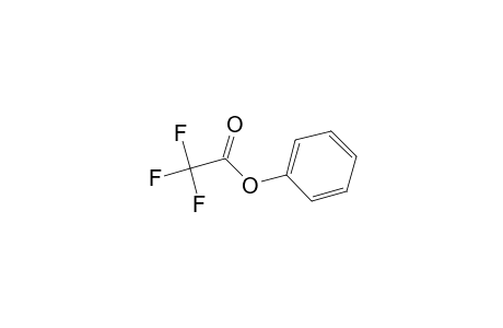 Phenyl trifluoroacetate